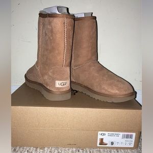 Women’s classic short UGG boots